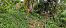 vente Terrain constructible Le Lamentin
