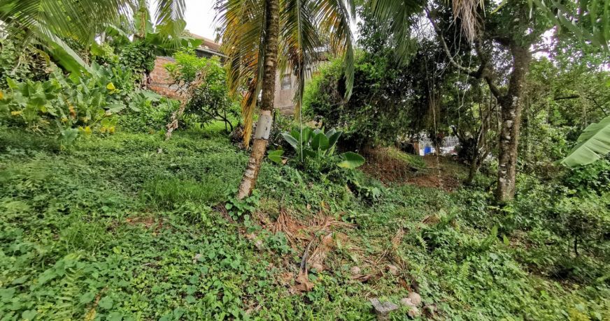 vente Terrain constructible Le Lamentin