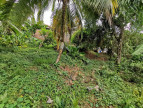 vente Terrain constructible Le Lamentin
