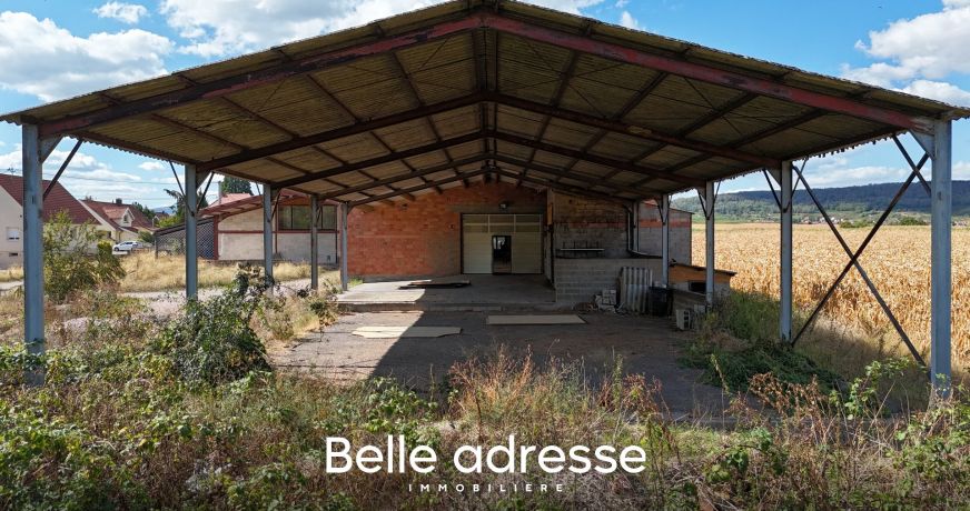 vente Entrepots et bureaux Odratzheim