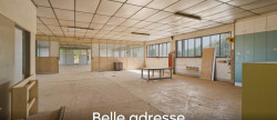 vente Entrepots et bureaux Odratzheim