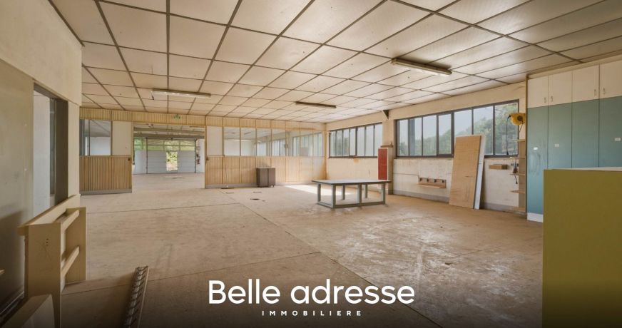 vente Entrepots et bureaux Odratzheim