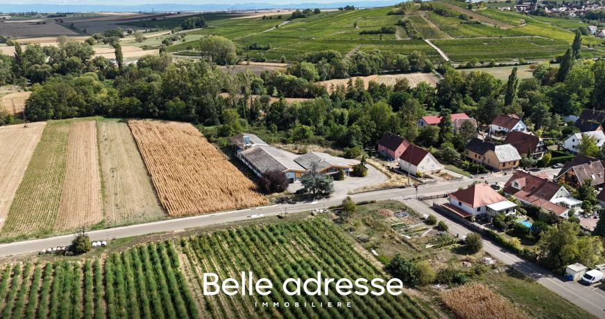 vente Entrepots et bureaux Odratzheim