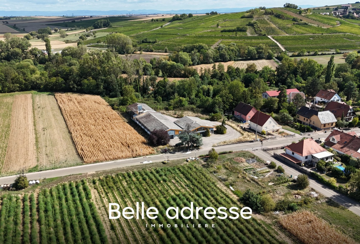 vente Entrepots et bureaux Odratzheim - Photo 1