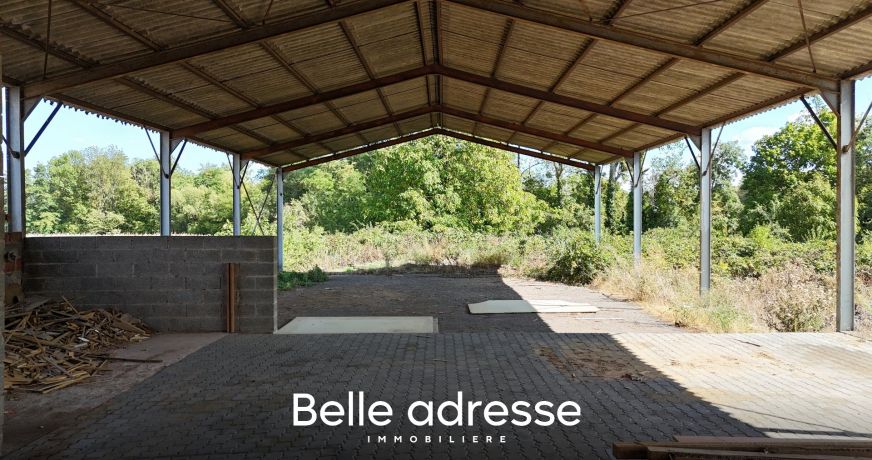 vente Entrepots et bureaux Odratzheim