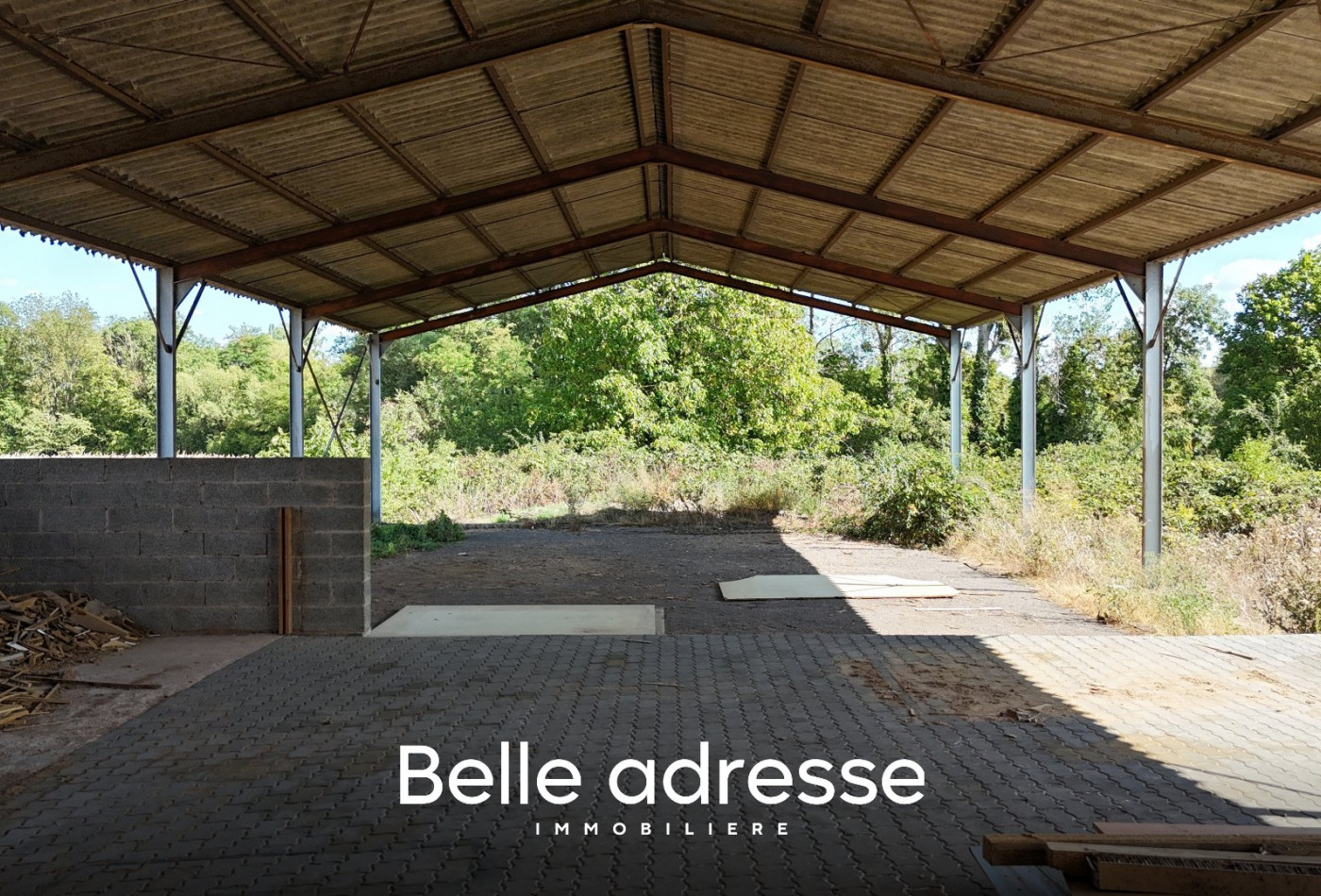 vente Entrepots et bureaux Odratzheim - Photo 5