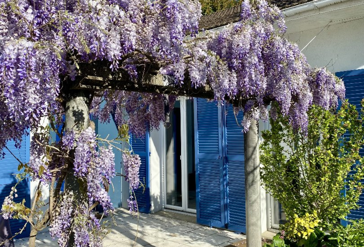 vente Maison individuelle Meudon - Photo 1