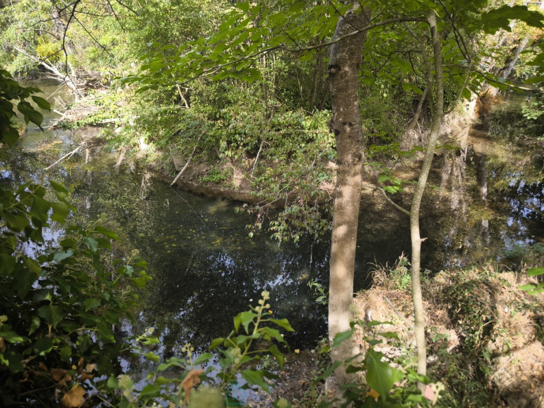 vente Fermette Bergerac - Photo 4