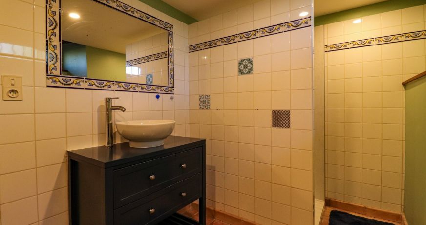 vente Maison en pierre Saint Mesmin