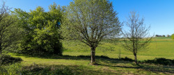 vente Maison en pierre Saint Mesmin