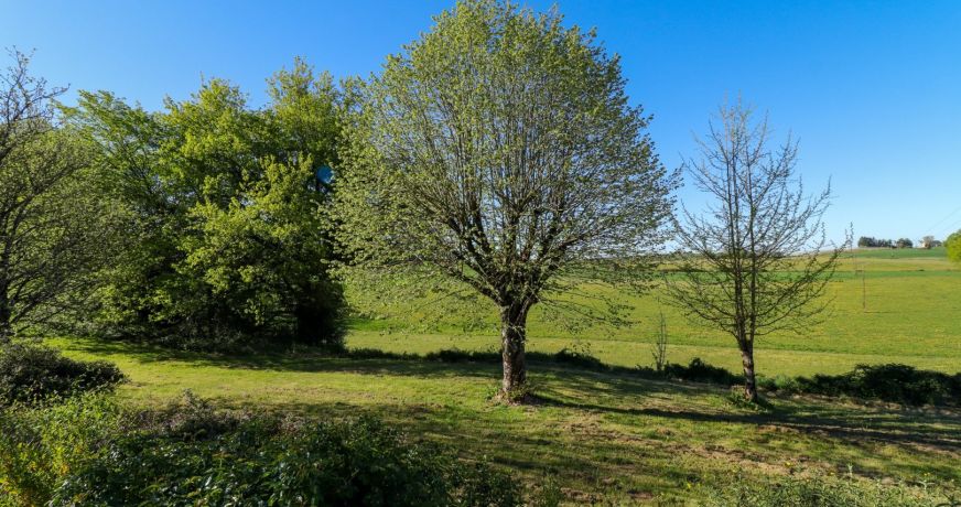 vente Maison en pierre Saint Mesmin