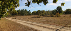 vente Maison de campagne Montendre