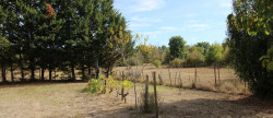 vente Maison de campagne Montendre