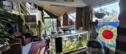 vente Maison Pont De Buis Les Quimerch