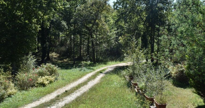 vente Propriété Rouffignac Saint Cernin De Reilhac
