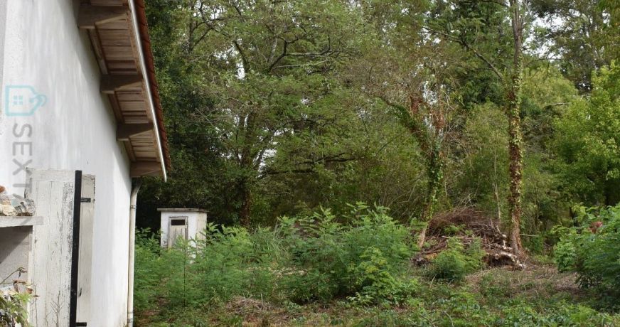vente Maison Moulin-neuf