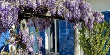 vente Meudon