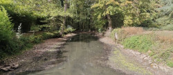 vente Propriété forestière Montceaux Les Provins