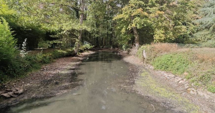 vente Propriété forestière Montceaux Les Provins