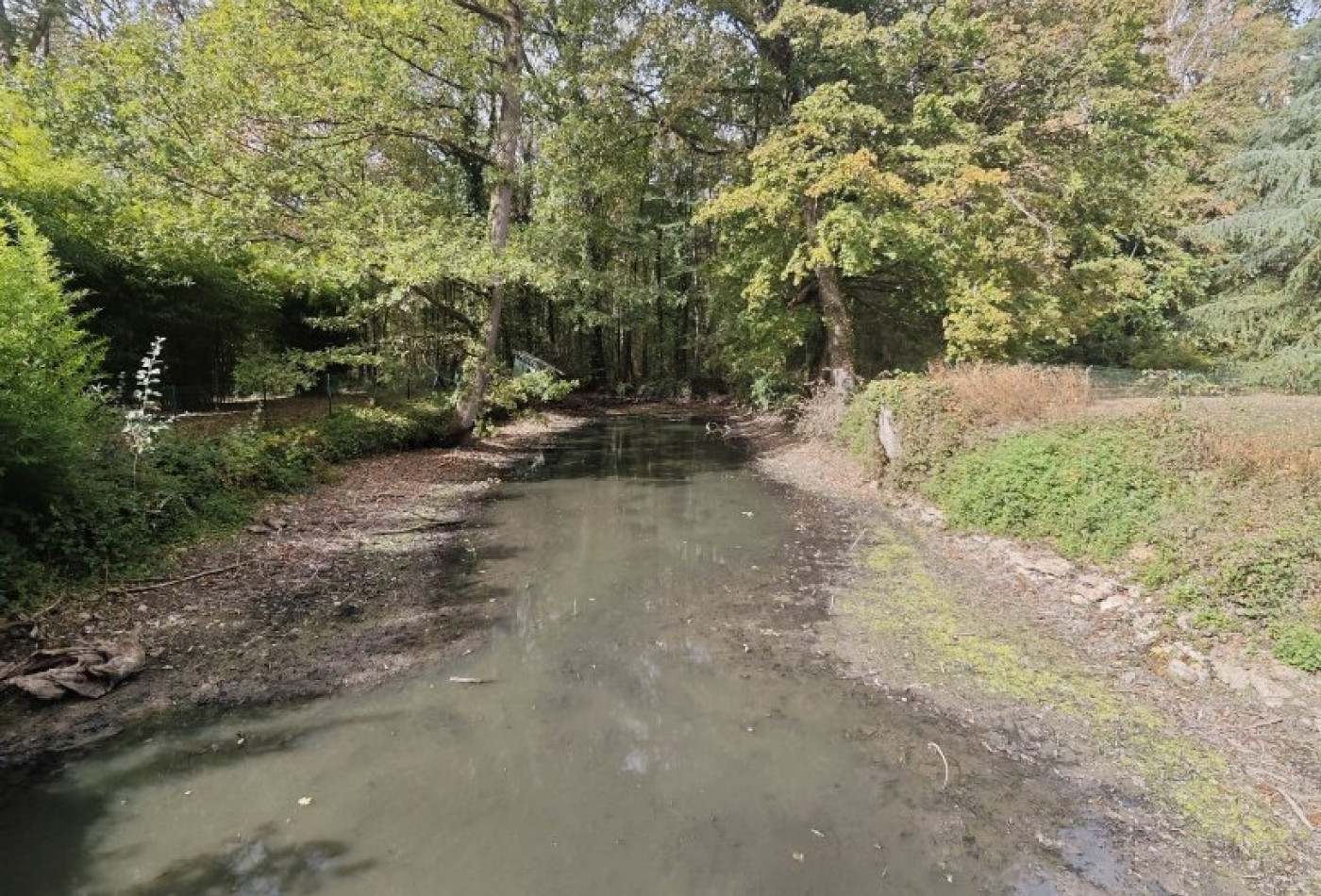 vente Propriété forestière Montceaux Les Provins - Photo 10