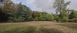 vente Propriété forestière Montceaux Les Provins