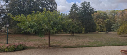 vente Propriété forestière Montceaux Les Provins