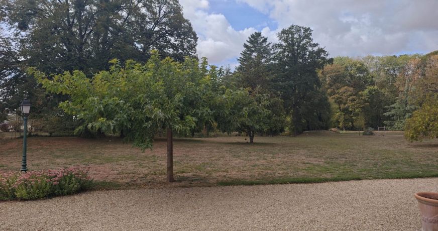 vente Propriété forestière Montceaux Les Provins