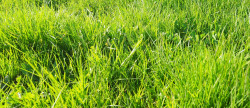 vente Terrain constructible Groix