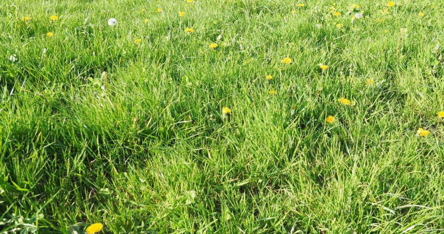 vente Terrain constructible Groix