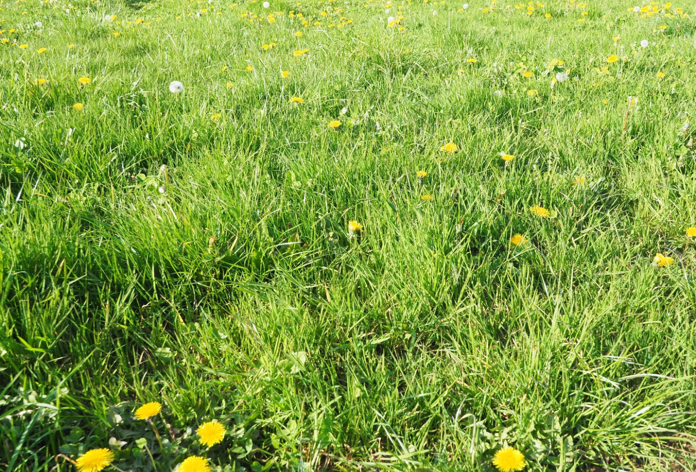 vente Terrain constructible Groix - Photo 4