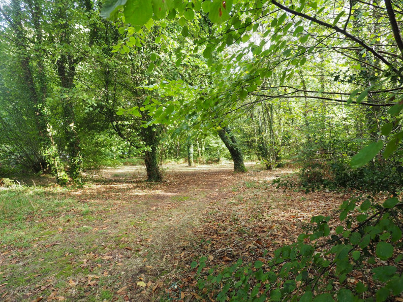 vente Maison La Chapelle Neuve - Photo 1