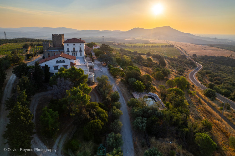 vente Château Perpignan - Photo 2