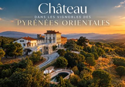 vente Château Perpignan