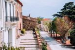 vente Château Perpignan