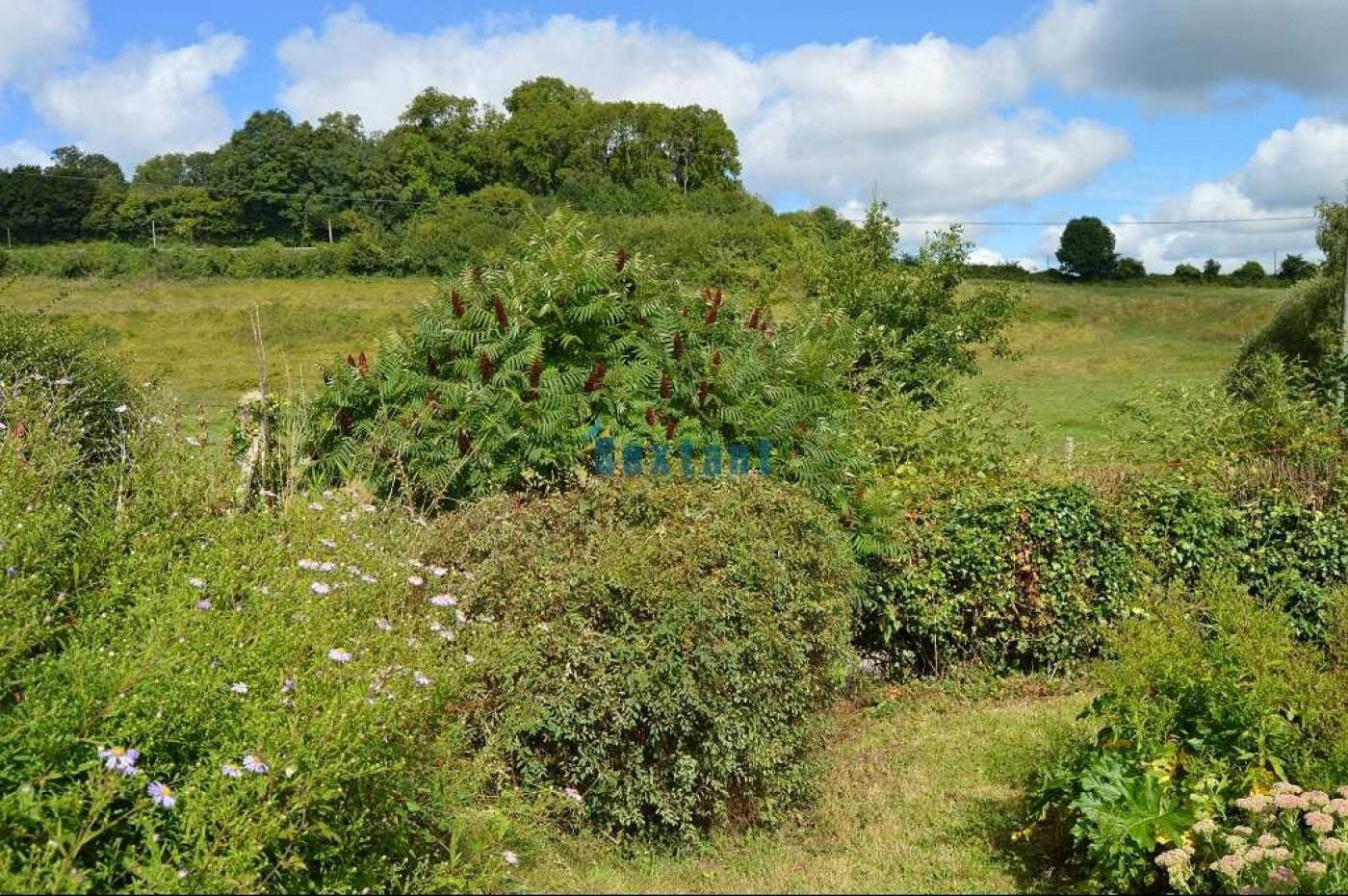 vente Maison de campagne Vimoutiers - Photo 9