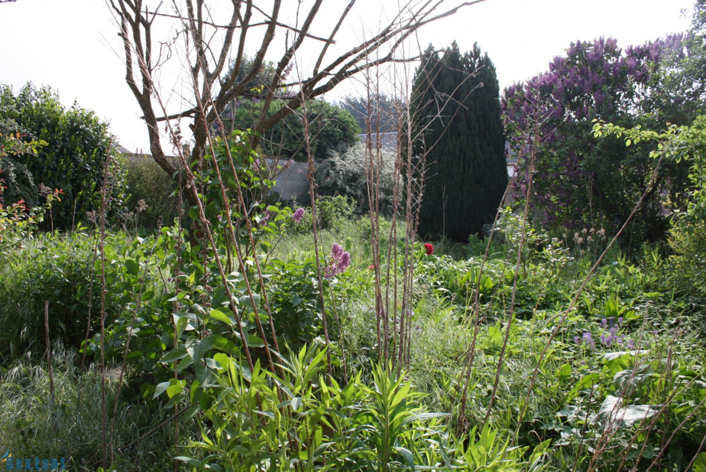 vente Maison individuelle Cambrai - Photo 4