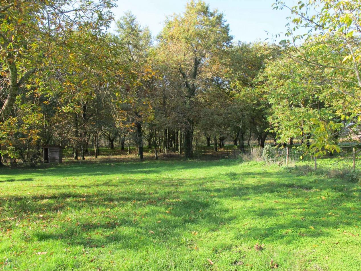 vente Maison individuelle Donnezac - Photo 3