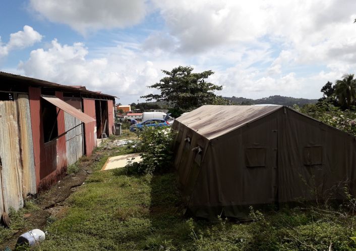 vente Terrain Morne Des Esses