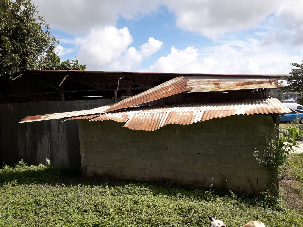 vente Terrain Morne Des Esses - Photo 3