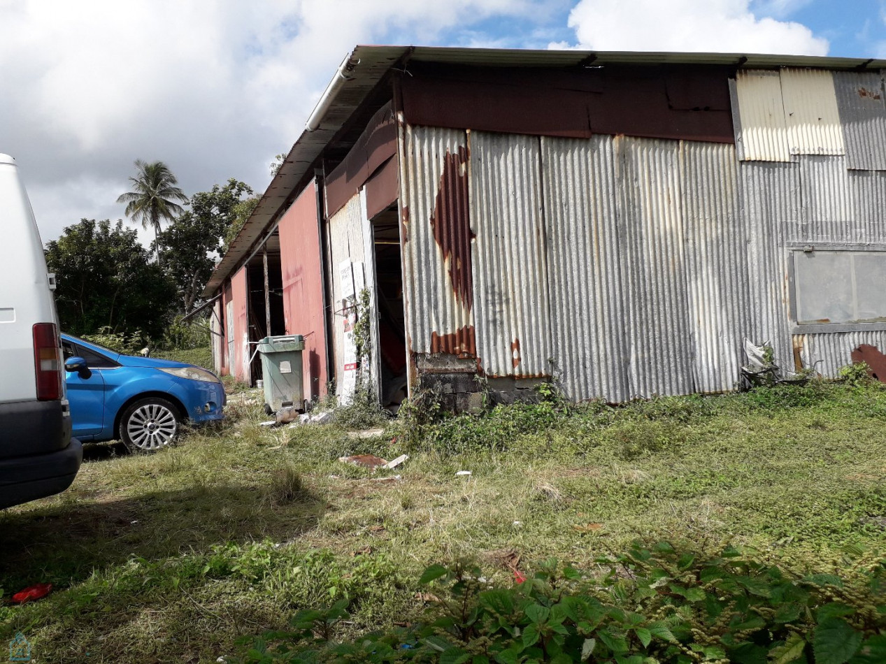 vente Terrain Morne Des Esses - Photo 5