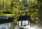 vente Maison individuelle Asnieres Sur Nouere