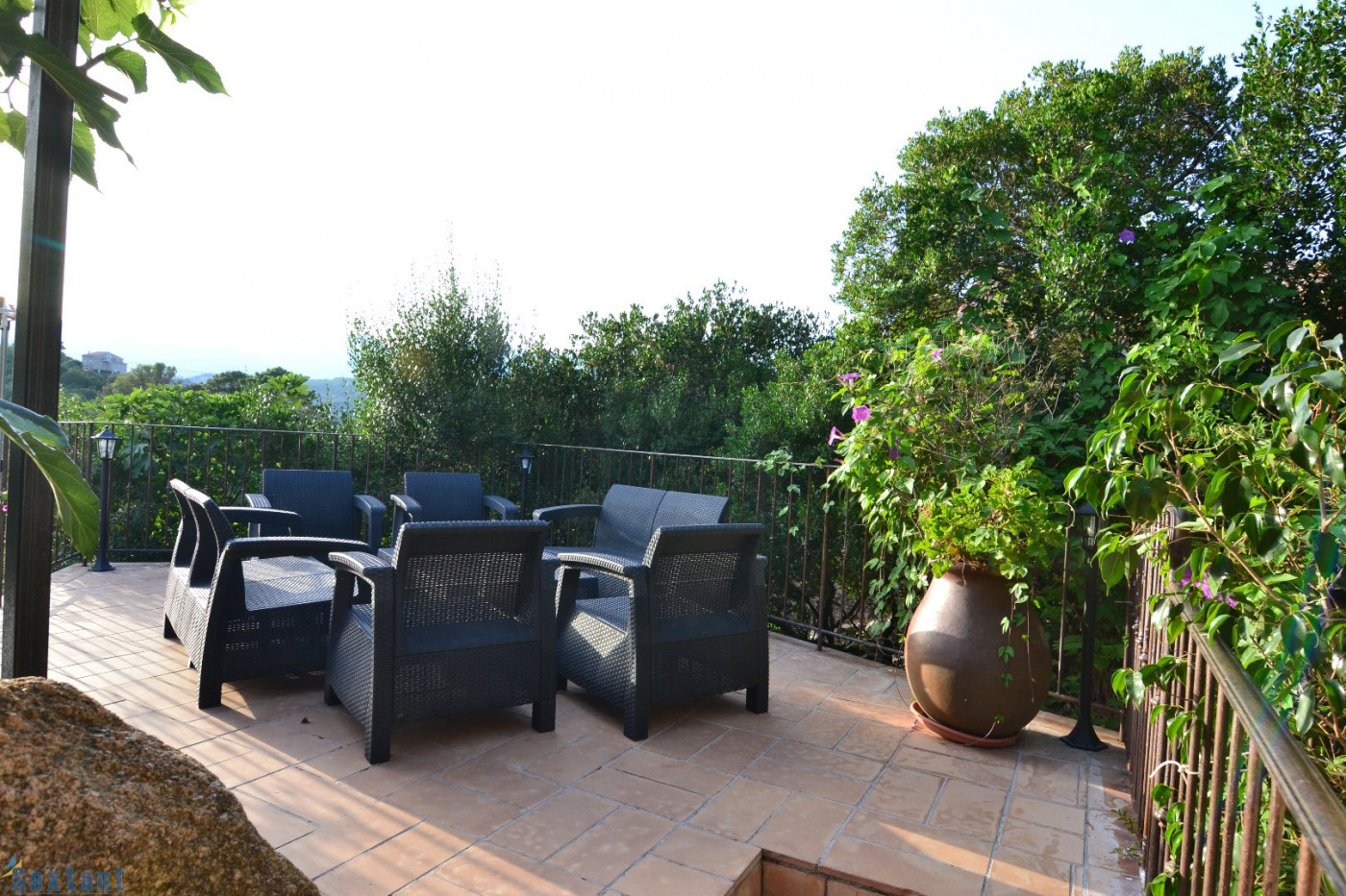 vente Maison Sotta - Photo 9