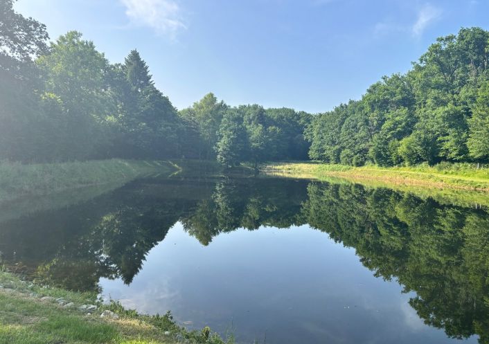 vente Etang Pierrefitte