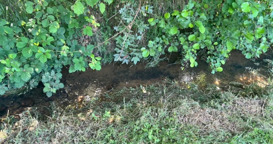 vente Etang Pierrefitte