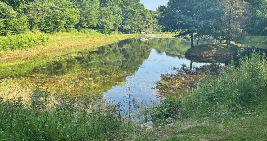 vente Etang Pierrefitte