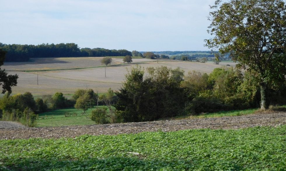 vente  Pommiers Moulons