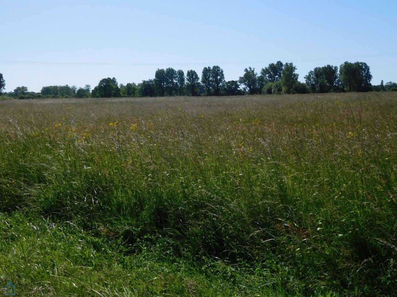 vente Propriété Soumeras - Photo 3