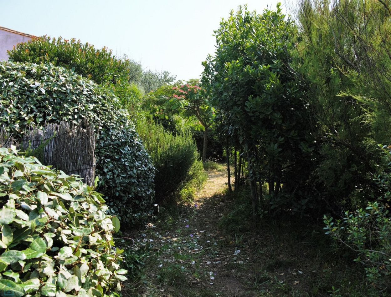 vente Maison Ars En Re - Photo 7