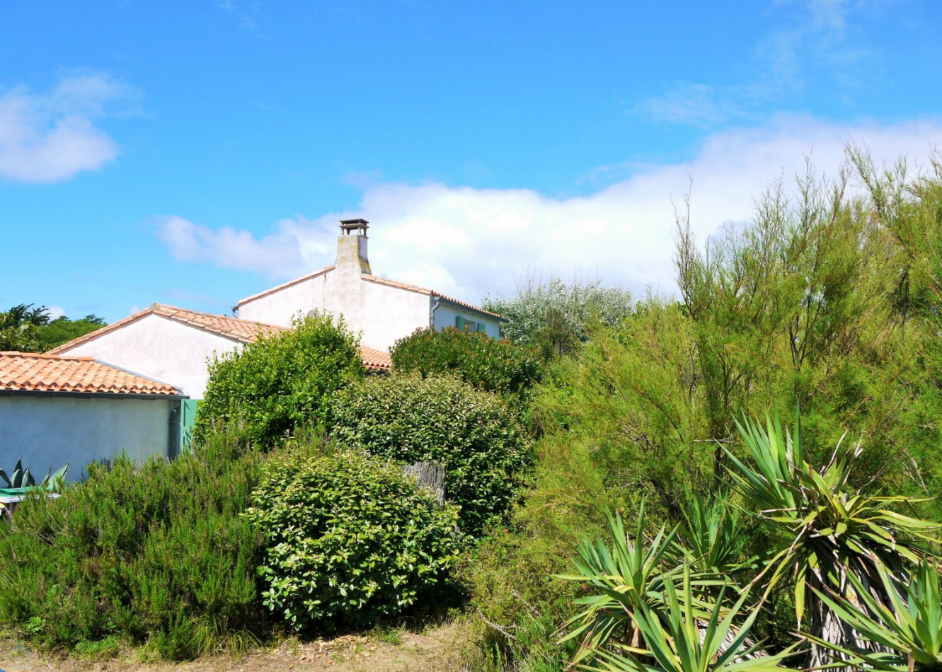 vente Maison Ars En Re - Photo 3