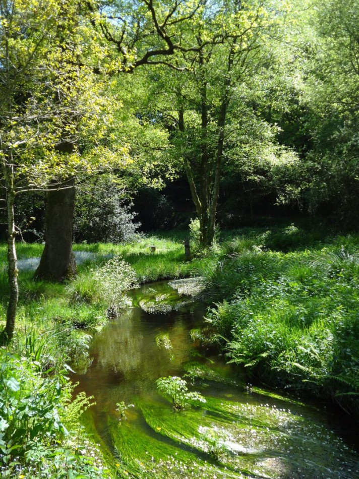 vente Maison de campagne Persquen - Photo 13